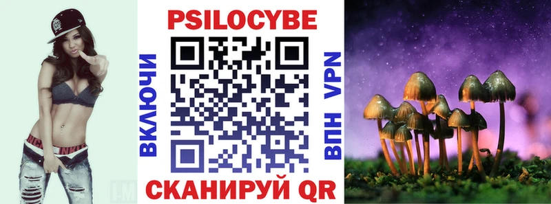 Псилоцибиновые грибы Psilocybine cubensis  Баксан 